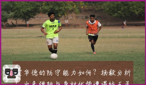 霍华德的防守能力如何?杨毅分析:出色弹跳与身材优势遭遇纯五号位的劣势