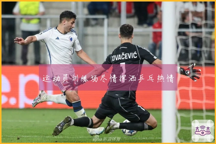 运动员训练场尽情挥洒乒乓热情