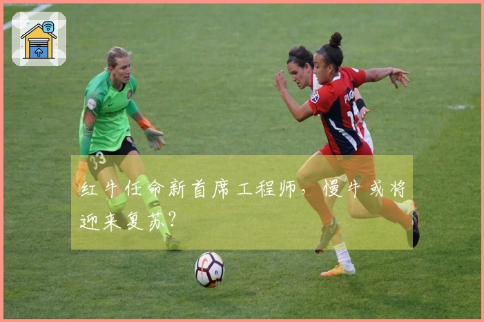 红牛任命新首席工程师，慢牛或将迎来复苏？
